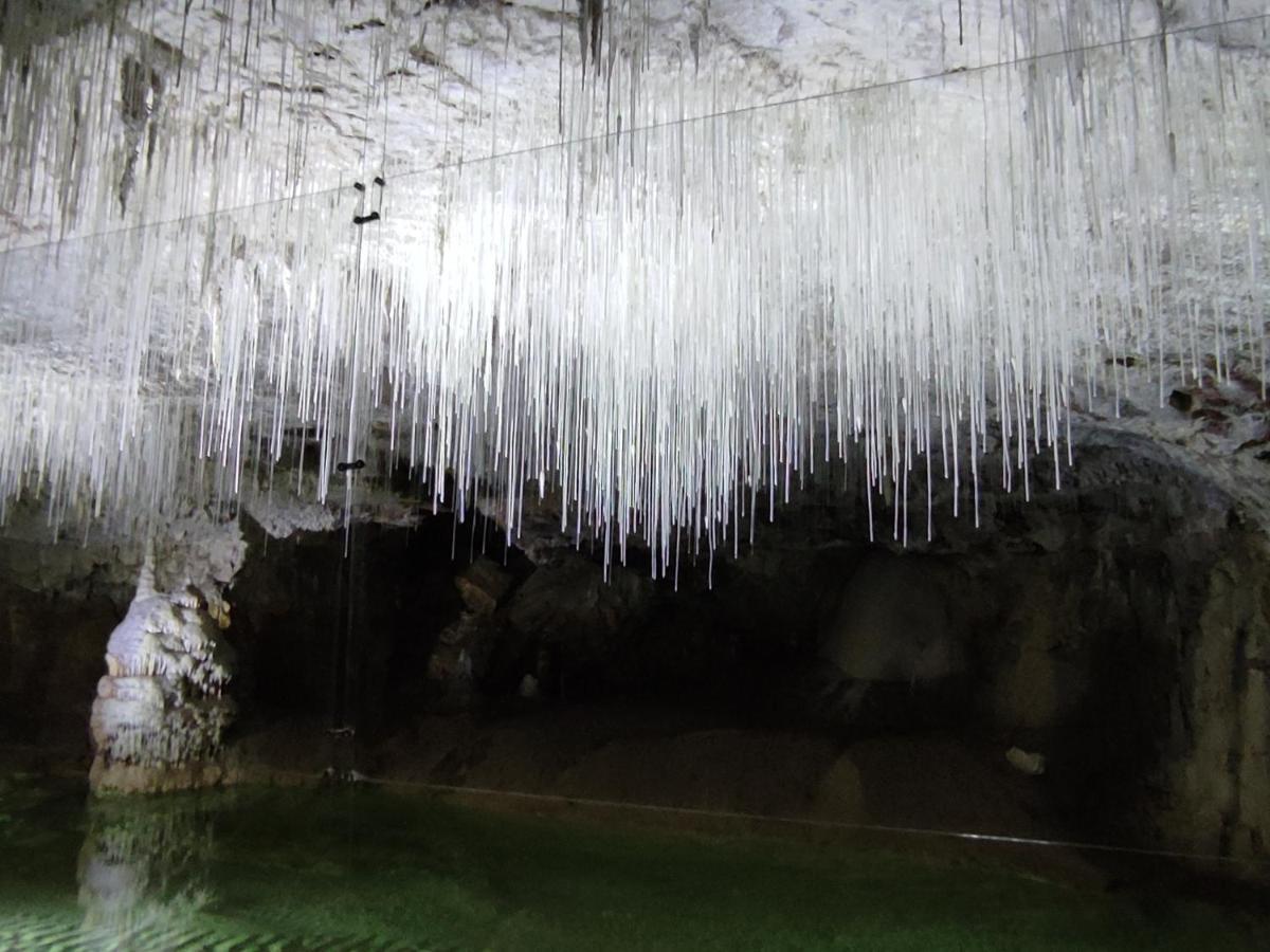 Chambre Genissieux, Vue Sur Vercors ภายนอก รูปภาพ